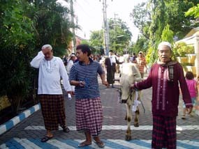 Warga Wage Arak Hewan Kurban Keliling Kampung 