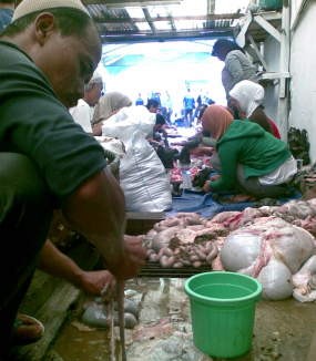 Distan Kota Bandung Temukan Cacing di Hati Sapi Kurban 