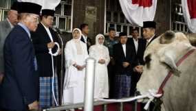 Sembelih 235 Kurban di Istiqlal, Sapi SBY-JK Giliran Pertama