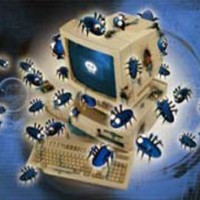 Ganasnya Serangan Virus Lokal di 2008
