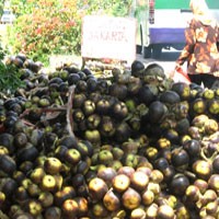 Musim Hujan, Pedagang Siwalan Kelimpungan