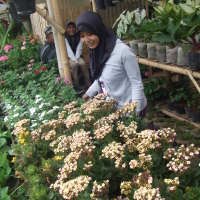 Pedagang Bunga Cihideung Terapung