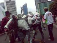 Sapi Perahan di Bundaran HI, Gambaran Derita TKI