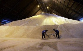 RI Sudah Swasembada Gula 50.000 Ton di 2008