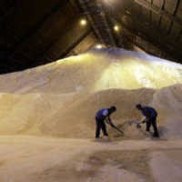 Kebutuhan Gula Rafinasi 2009 Capai 1,85 juta ton