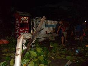 Hujan Angin, 7 Motor di Madiun Tertimpa Pohon 