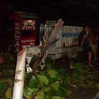 Hujan Angin, 7 Motor di Madiun Tertimpa Pohon 