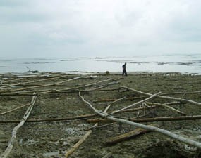 Ribuan Keramba Rumput Laut Rusak Diterjang Ombak