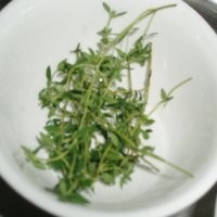 Apa itu Thyme?