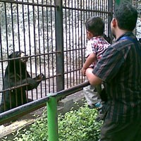 Libur Natal, Bonbin Dibanjiri Wisatawan Lokal