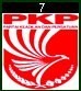 Partai Keadilan dan Persatuan Indonesia (7)