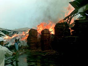 Pabrik Pengolahan Kayu di Gresik Terbakar