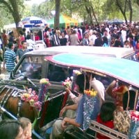 Hujan Deras, Pengunjung Ragunan Kocar-kacir