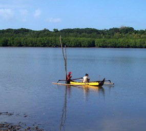 Belajar Peduli Lingkungan dari Teluk Bedul