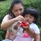 Dianti Shabira, 1,11 Tahun; Perempuan; f