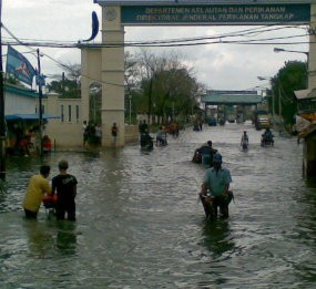 Muara Baru Rob, Anak Sekolah Digendong Ayah