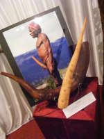 Mengenalkan Papua Lewat Pameran