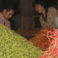 Harga Cabe Rawit Melonjak Tajam
