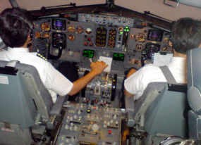 Hindari Kriminalisasi Pilot, Majelis Profesi Penerbangan Dibentuk