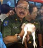 Foke: Gubernur Jakarta Perlu Jantung Serep 