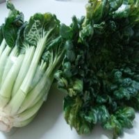 Sayur Pagoda, Lezat dan Sehat