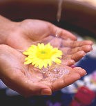 Seharusnya The Michael Resort Memiliki Keramahan 