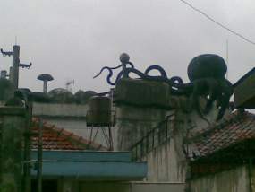 62+ Gambar Rumah Gurita Gratis Terbaik