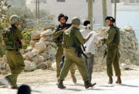 Pasukan Israel Tangkap 12 Warga Palestina di Tepi Barat