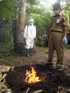 Banyuwangi Siaga Endemi Flu Burung