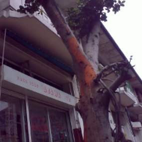 Perusak Pohon di Braga dan Talaga Bodas Diduga Sama