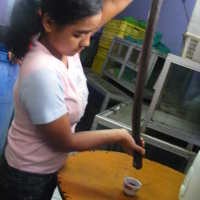 Potong Langsung dari Ular Hidup