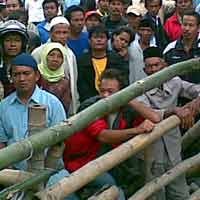 Keberadaan Dukun Cilik Sakti Makin Misterius