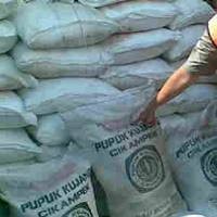 Pasokan Gas Jadi Biang Keladi Rencana Impor Pupuk