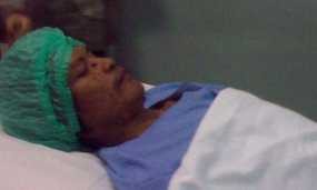 Obat Asal Amerika Bahayakan Ginjal Dede Manusia Pohon