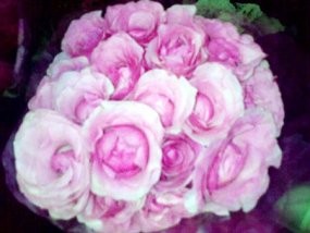 Mahasiswa Islam Yogya Tolak Valentines Day