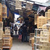 Berburu Burung di Pasar Sukahaji