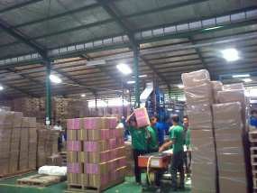 Ganeca Exact Telah Cetak 7 Juta Kertas Suara Pemilu 2009 