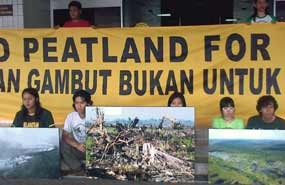 Tolak Peruntukan Lahan Gambut, Greenpeace Demo Deptan