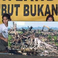 Tolak Peruntukan Lahan Gambut, Greenpeace Demo Deptan