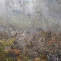 Ada 223 Titik Api di Riau