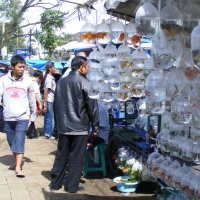Merek Kaki Lima, Kualitas Oke