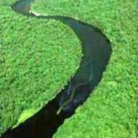 Foto-foto Monster yang Palsu