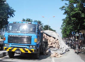 Ratusan Sak Semen Tumpah di Jalan, Lalin di Gresik Tersendat
