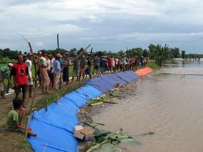 Siaga Banjir, Warga Tuban Jaga Tanggul 24 Jam