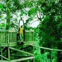 Pemerintah Siap Sinergikan BUMN Pariwisata
