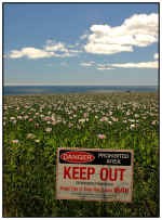 Afghanistan Produsen Opium Terbesar di Dunia