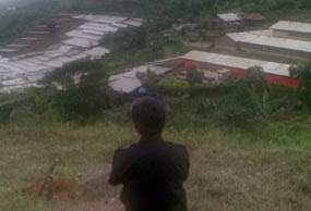 Ratusan Vila Liar di Puncak Segera Dibongkar