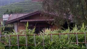 Menneg LH Ultimatum Villa Liar 3 Bulan untuk Dibongkar