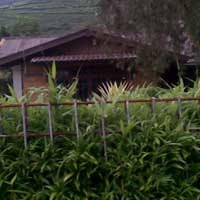 Menneg LH Ultimatum Villa Liar 3 Bulan untuk Dibongkar