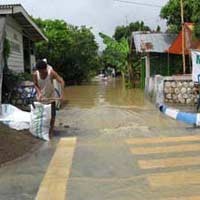 Banjir Bojonegoro Surut, Dua Rumah Malah Hanyut
